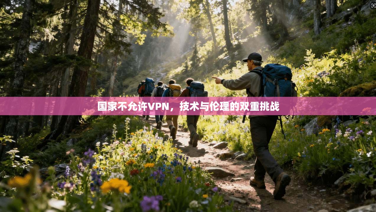 国家不允许VPN,技术与伦理的双重挑战