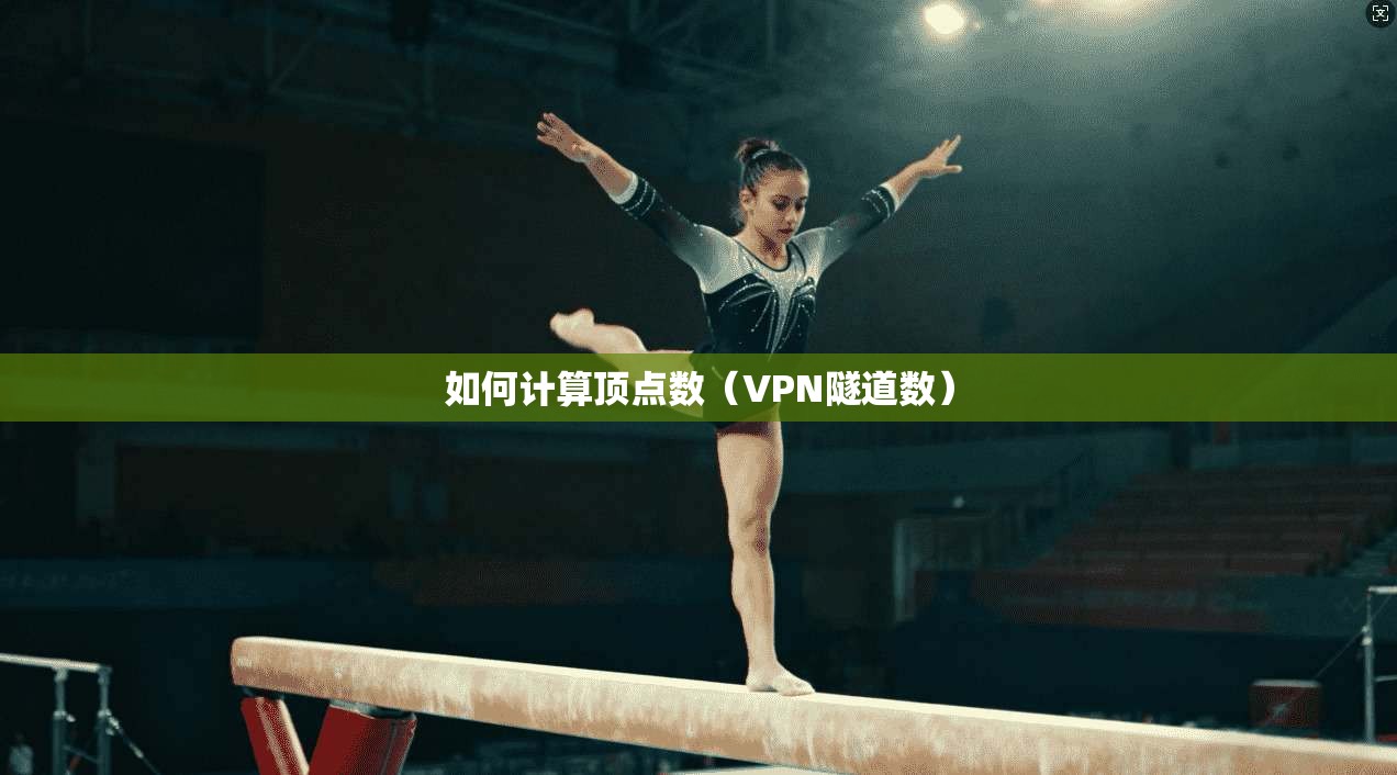 如何计算顶点数（VPN隧道数）