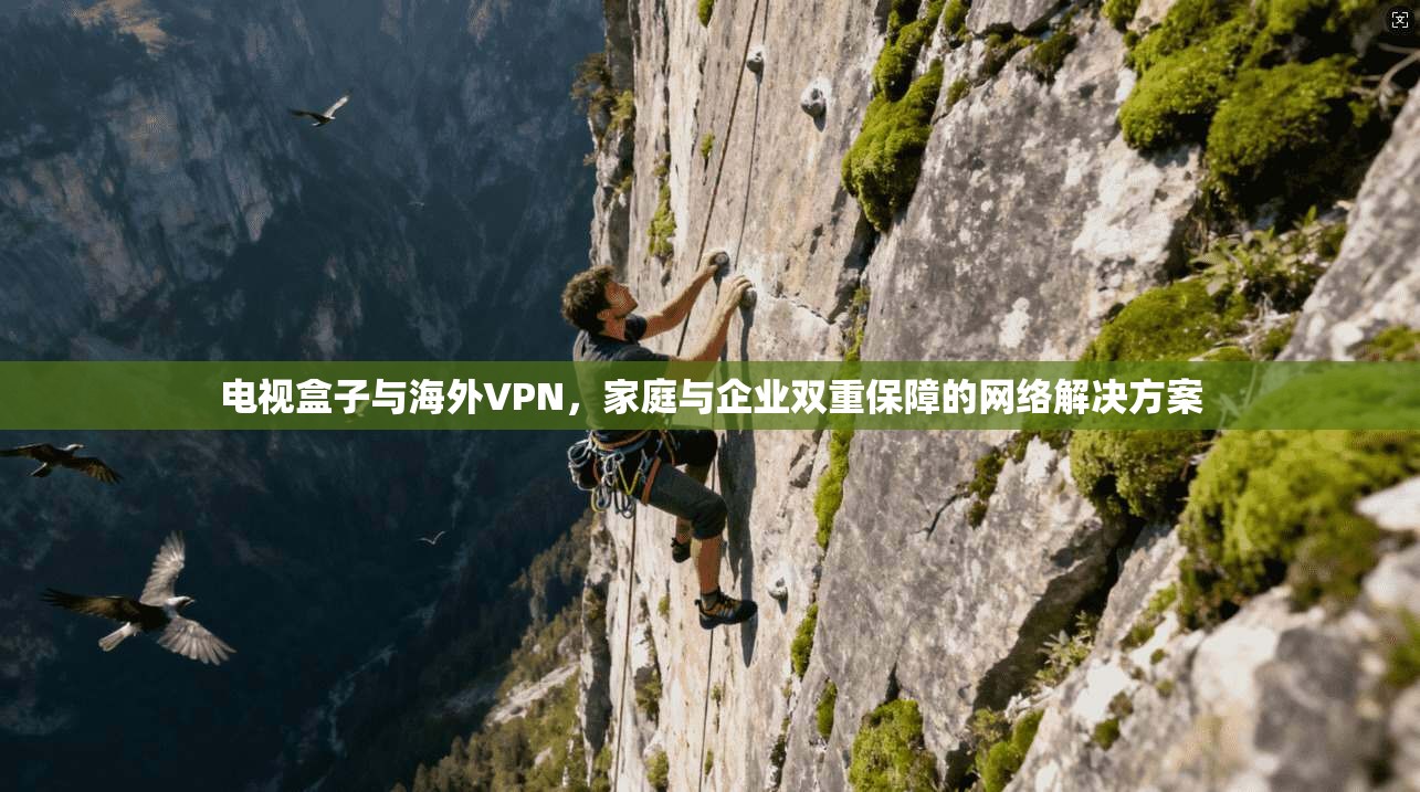 电视盒子与海外VPN，家庭与企业双重保障的网络解决方案