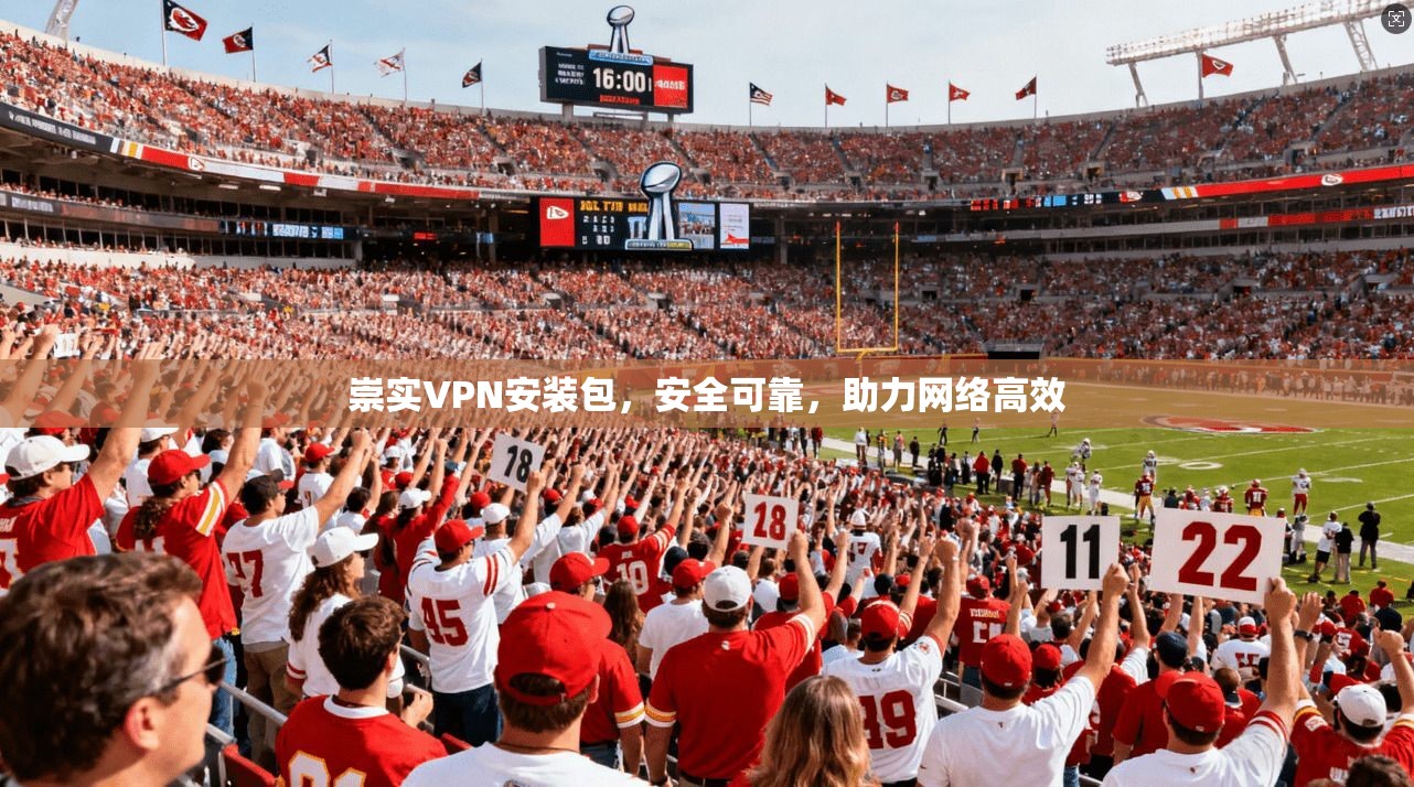 崇实VPN安装包,安全可靠,助力网络高效