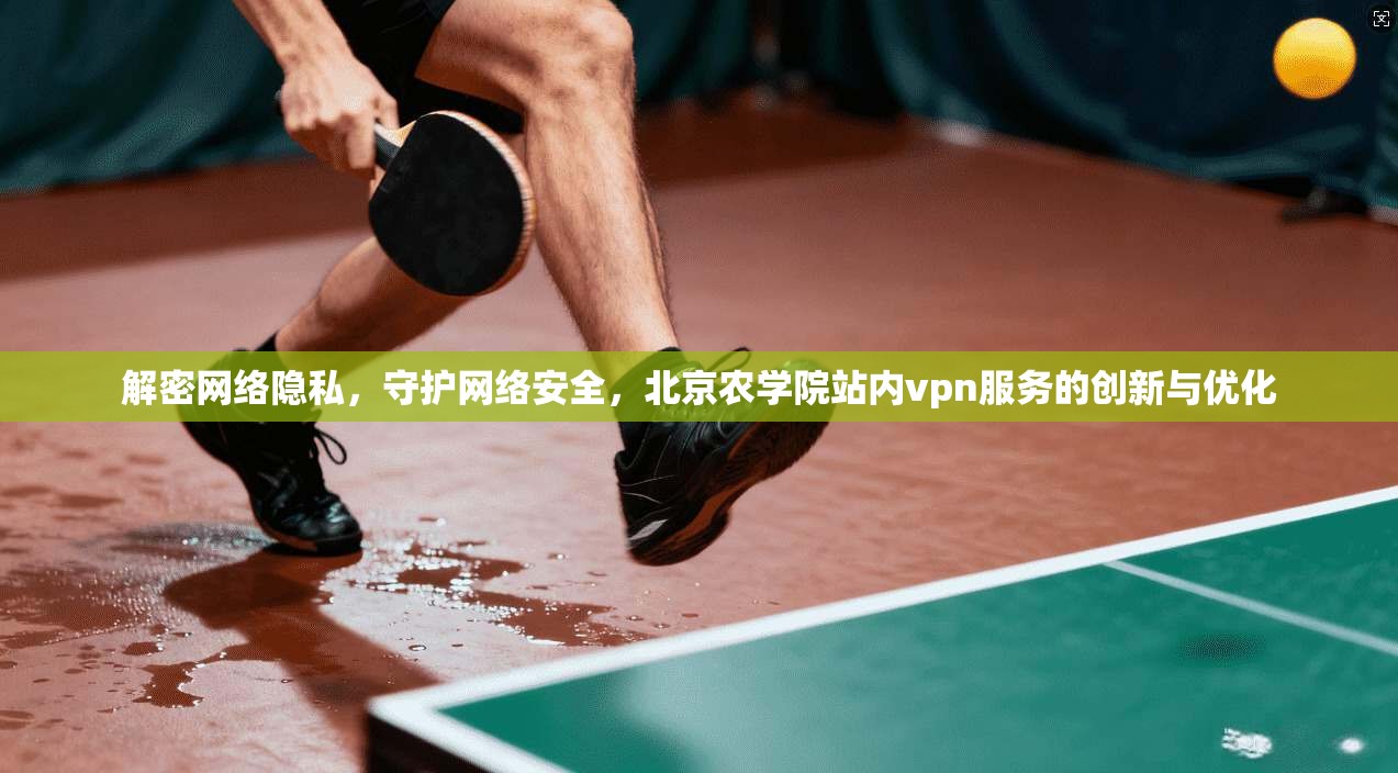 解密网络隐私，守护网络安全，北京农学院站内vpn服务的创新与优化
