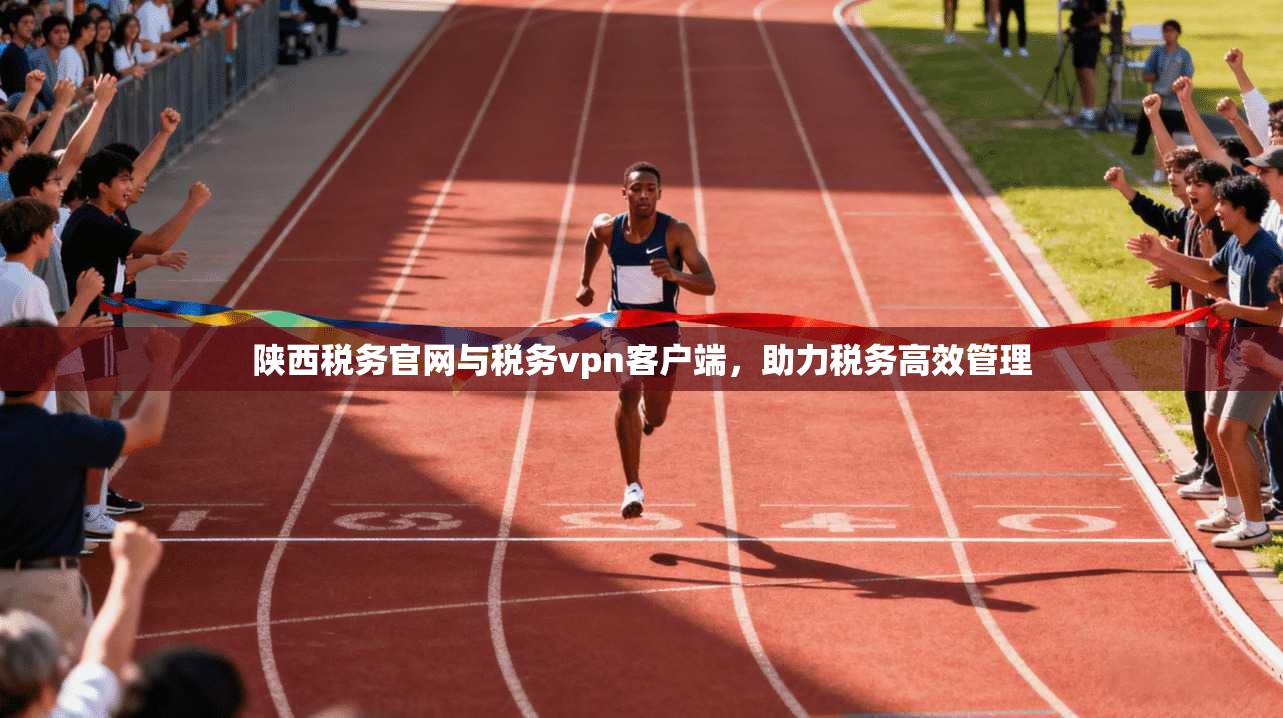 陕西税务官网与税务vpn客户端，助力税务高效管理