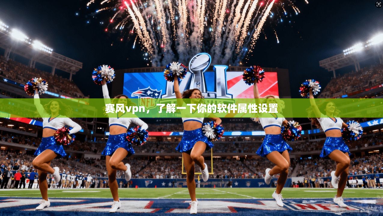 赛风vpn，了解一下你的软件属性设置