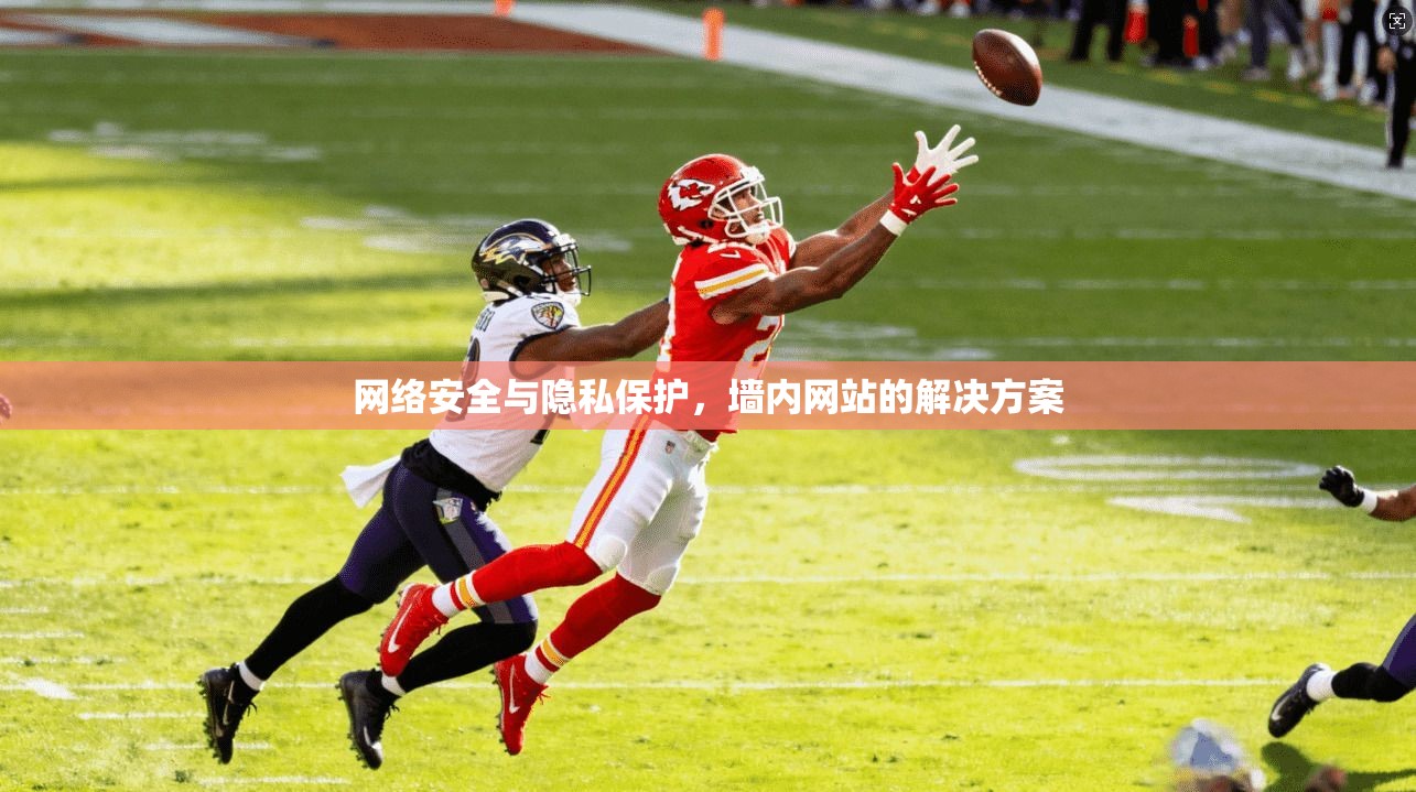 网络安全与隐私保护，墙内网站的解决方案