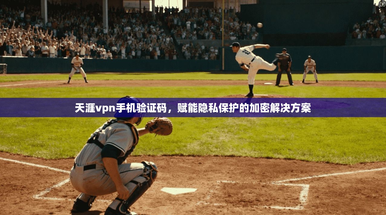 天涯vpn手机验证码，赋能隐私保护的加密解决方案