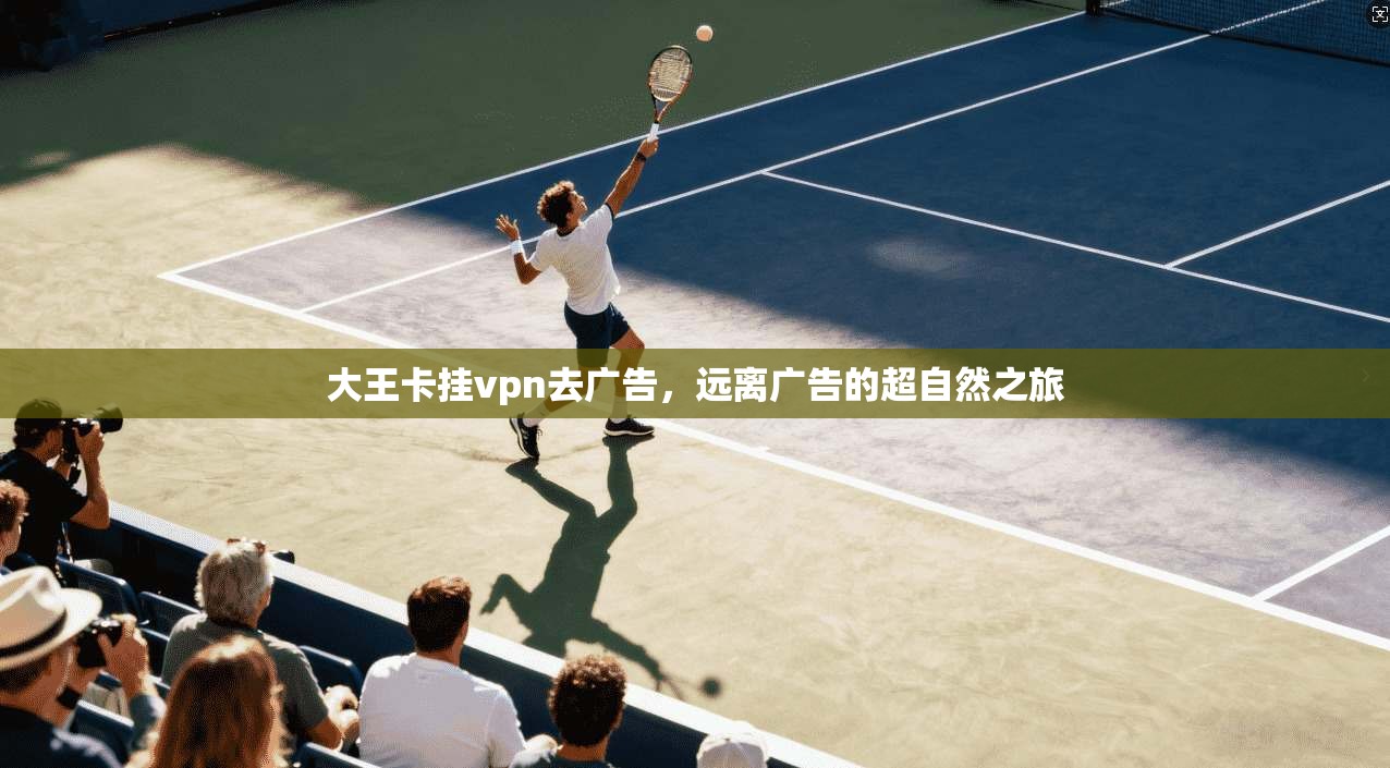 大王卡挂vpn去广告，远离广告的超自然之旅