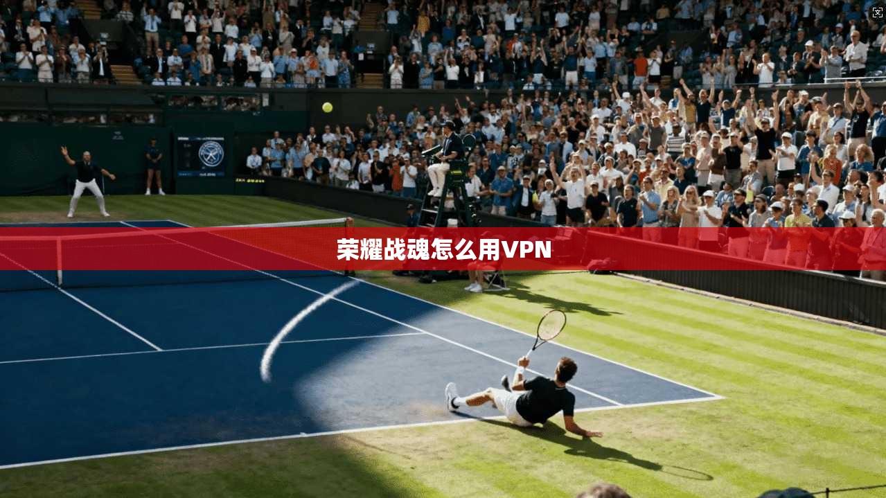 荣耀战魂怎么用VPN