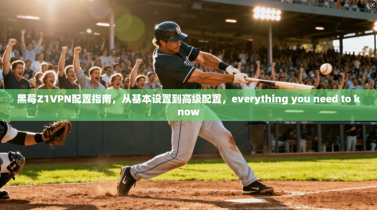 黑莓Z1VPN配置指南，从基本设置到高级配置，everything you need to know