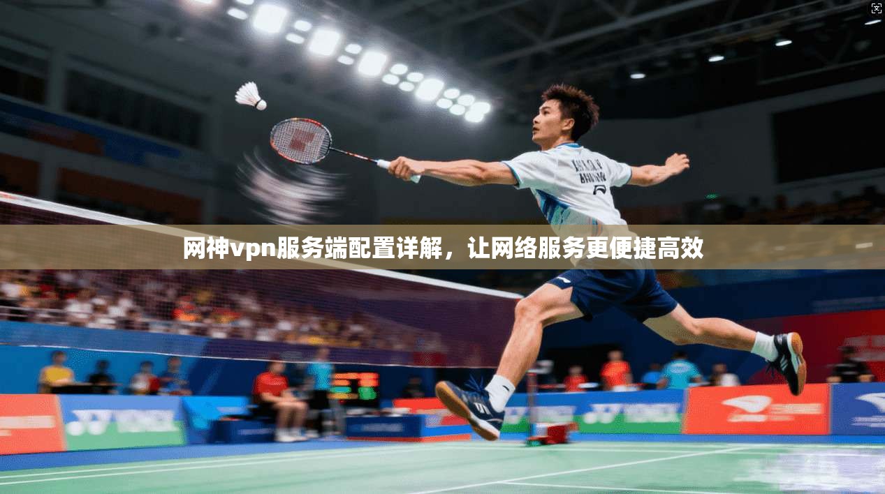 网神vpn服务端配置详解,让网络服务更便捷高效