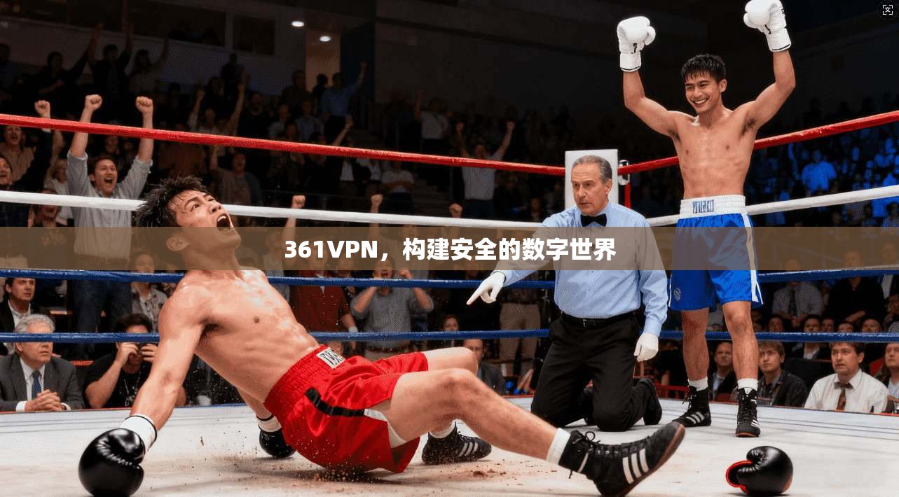 361VPN，构建安全的数字世界