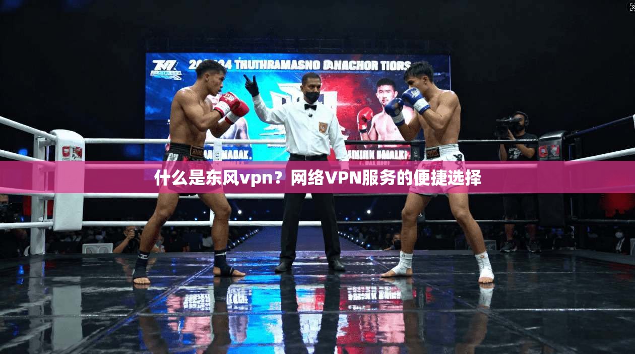 什么是东风vpn?网络VPN服务的便捷选择 第1张 什么是东风vpn?网络VPN服务的便捷选择 第1张