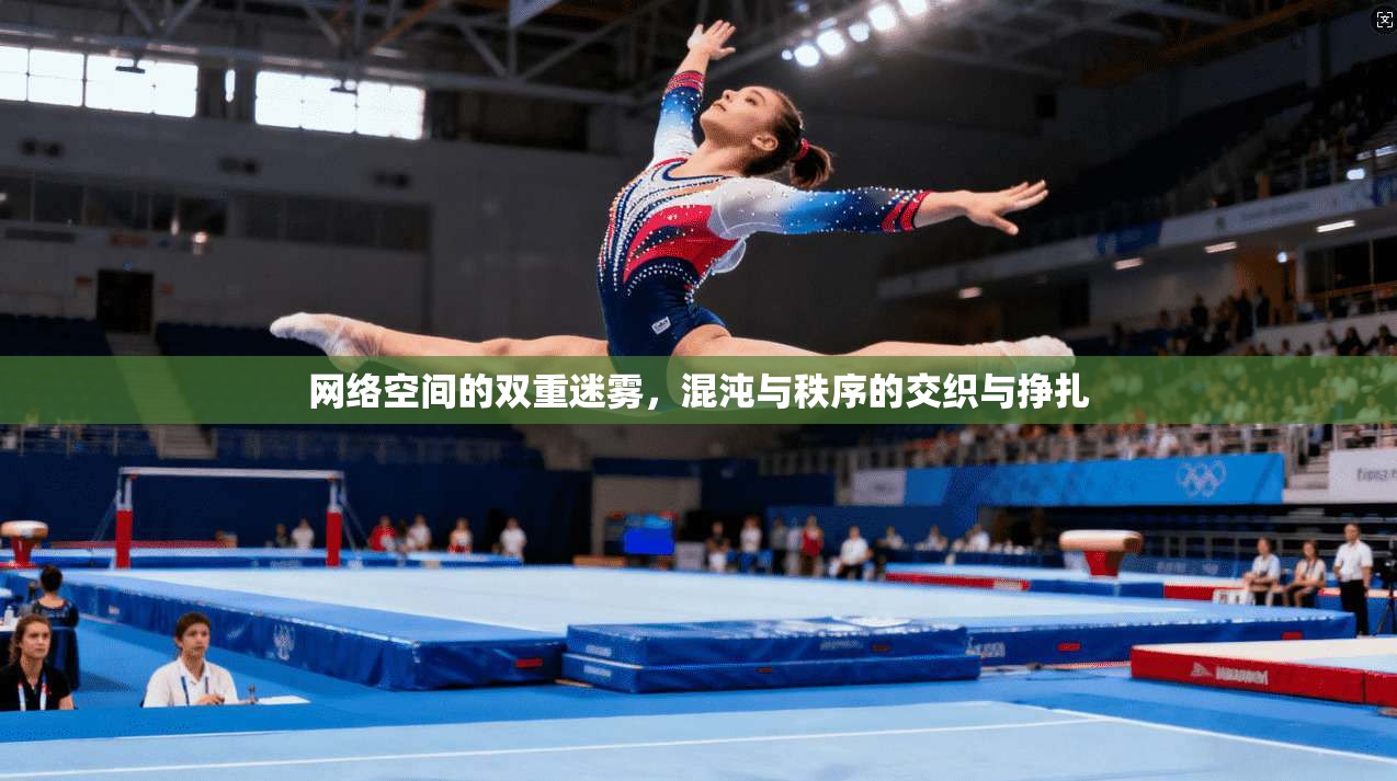 网络空间的双重迷雾，混沌与秩序的交织与挣扎