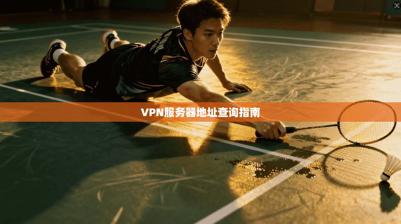 VPN服务器地址查询指南