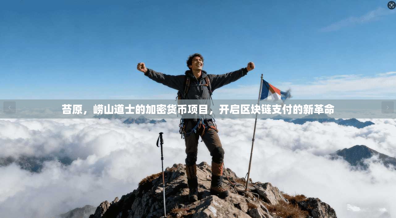 苔原，崂山道士的加密货币项目，开启区块链支付的新革命