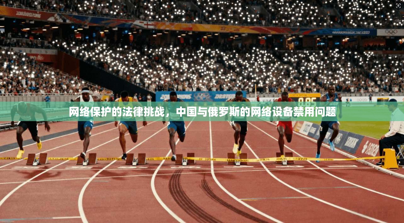 网络保护的法律挑战，中国与俄罗斯的网络设备禁用问题