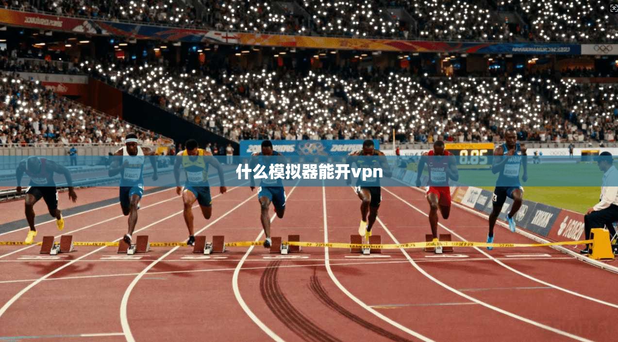 什么模拟器能开vpn