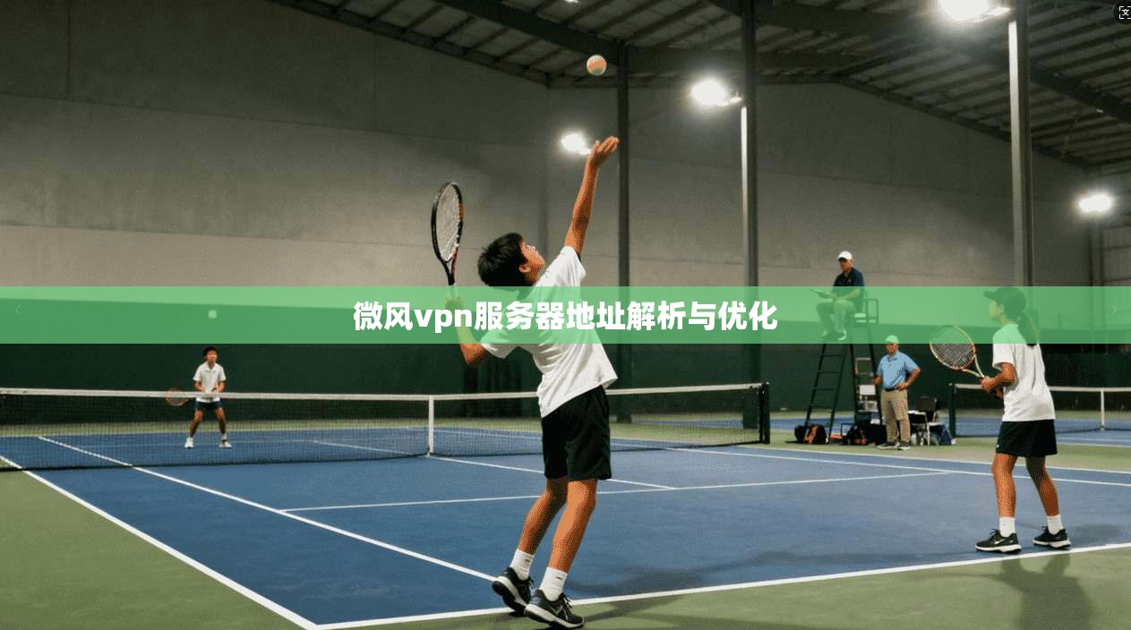 微风vpn服务器地址解析与优化