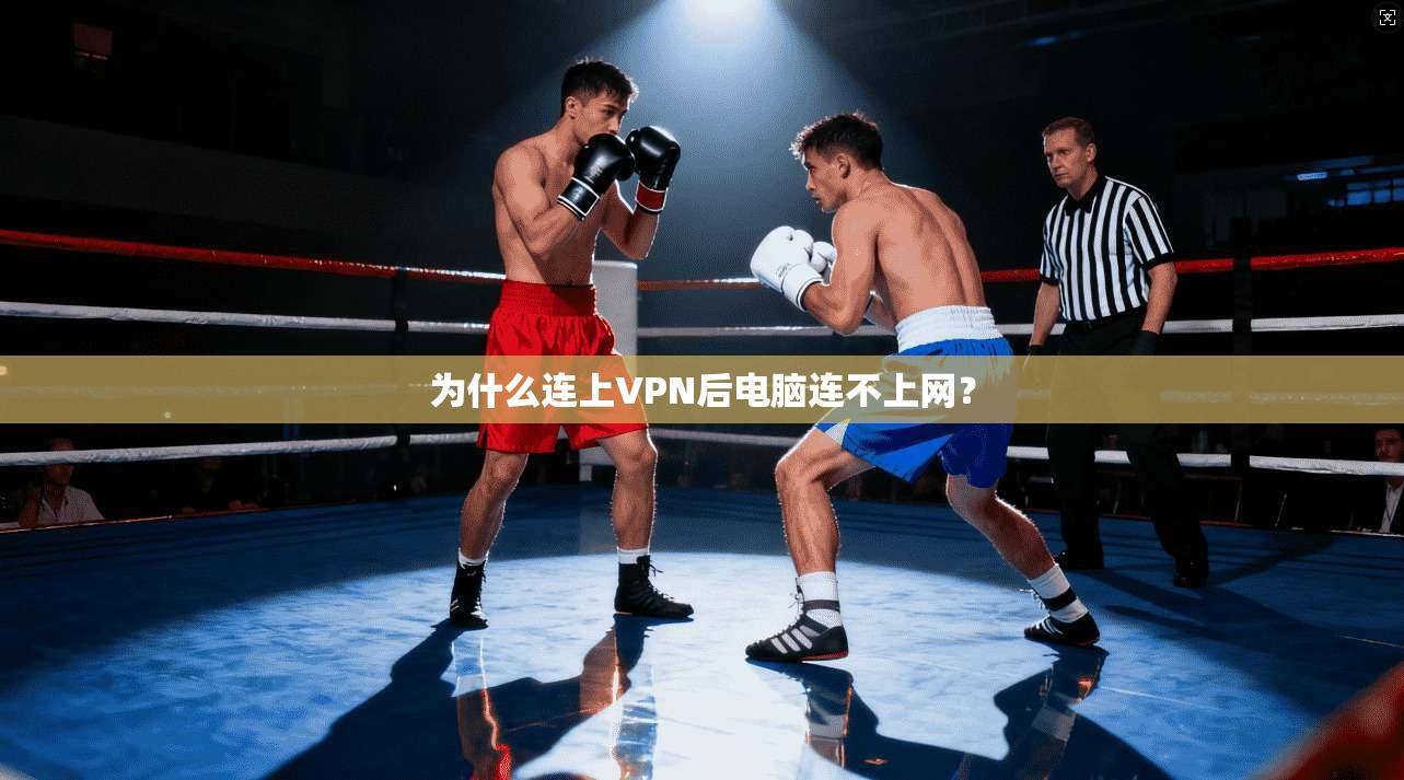 为什么连上VPN后电脑连不上网? 第1张 为什么连上VPN后电脑连不上网? 第1张