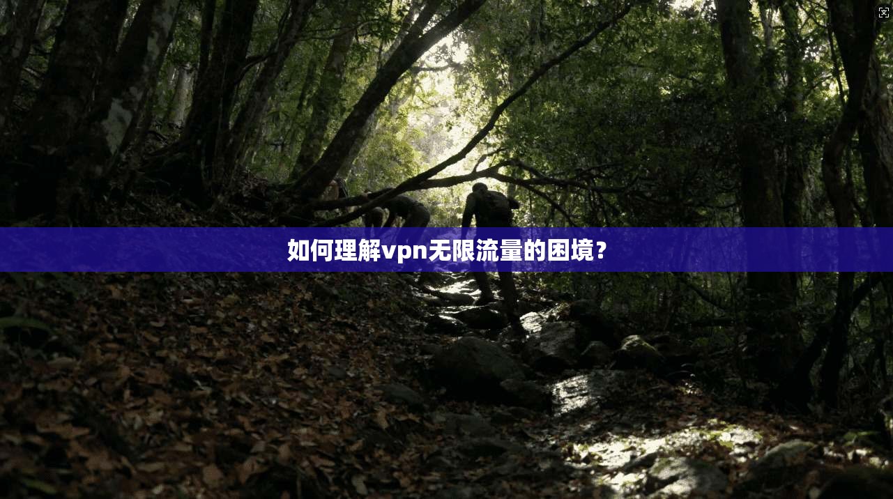 如何理解vpn无限流量的困境？  第1张