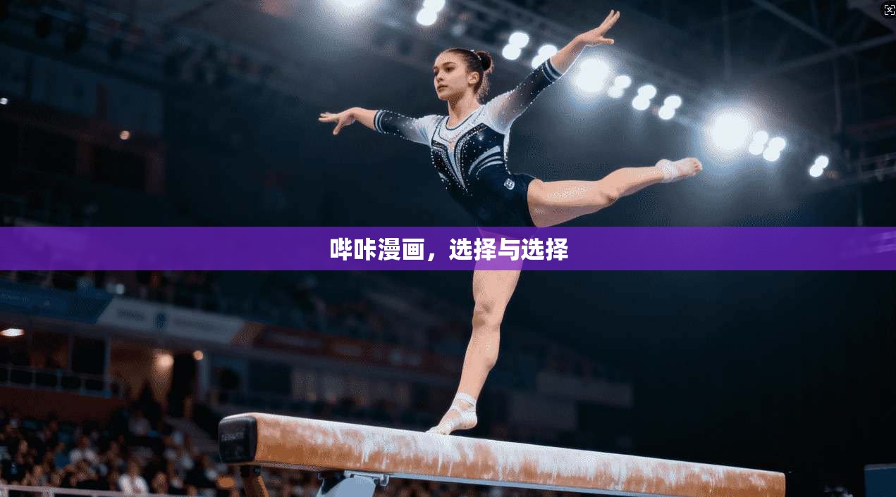 哔咔漫画,选择与选择