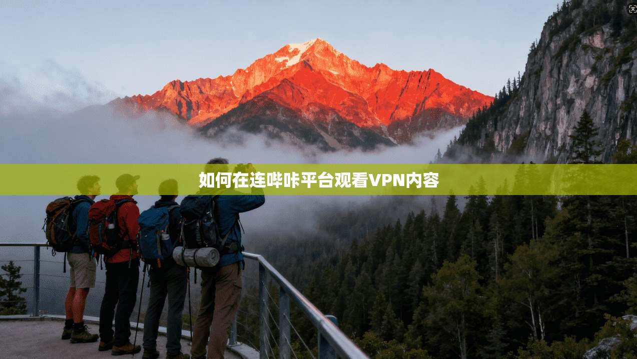 如何在连哔咔平台观看VPN内容