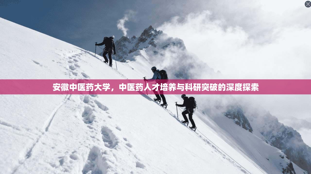 安徽中医药大学，中医药人才培养与科研突破的深度探索