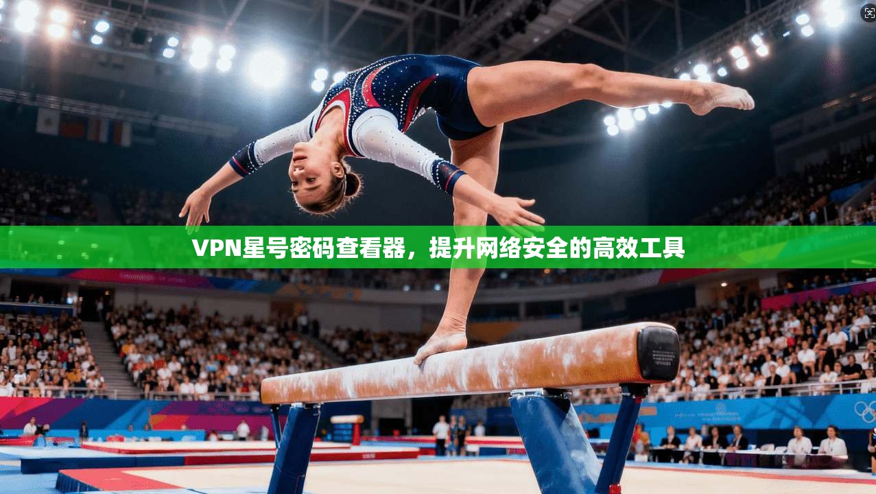 VPN星号密码查看器,提升网络安全的高效工具 第1张 VPN星号密码查看器,提升网络安全的高效工具 第1张