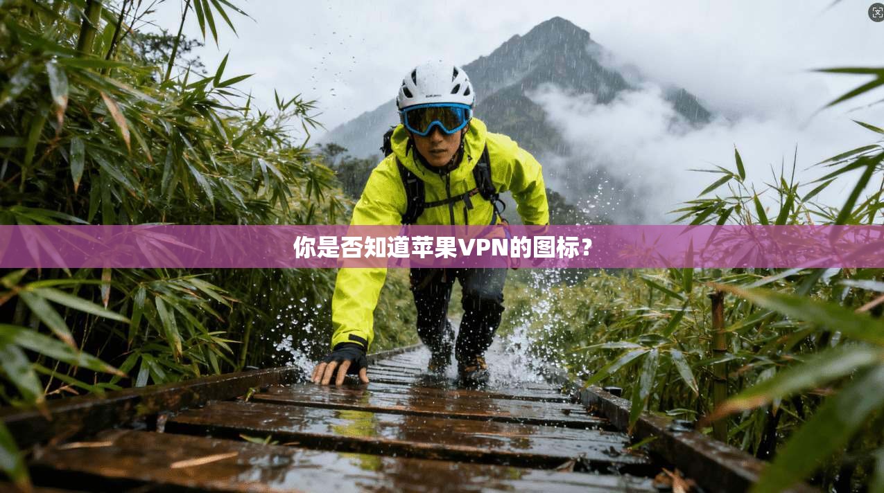 你是否知道苹果VPN的图标?