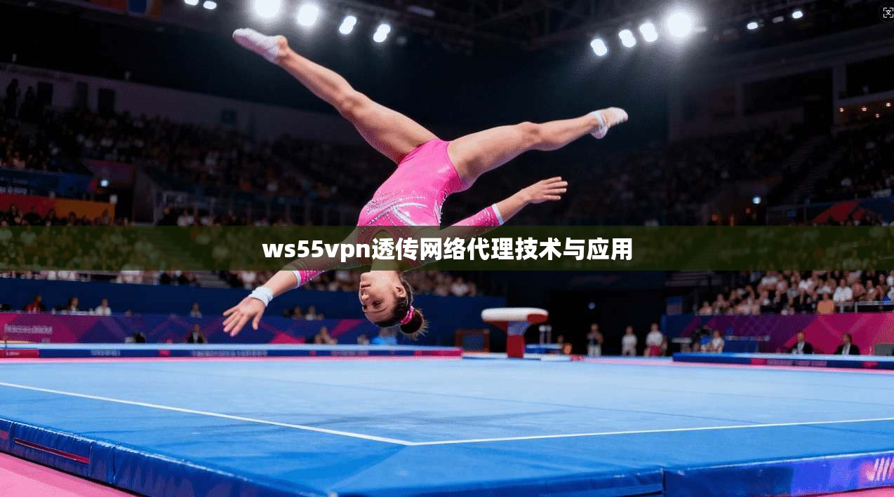 ws55vpn透传网络代理技术与应用