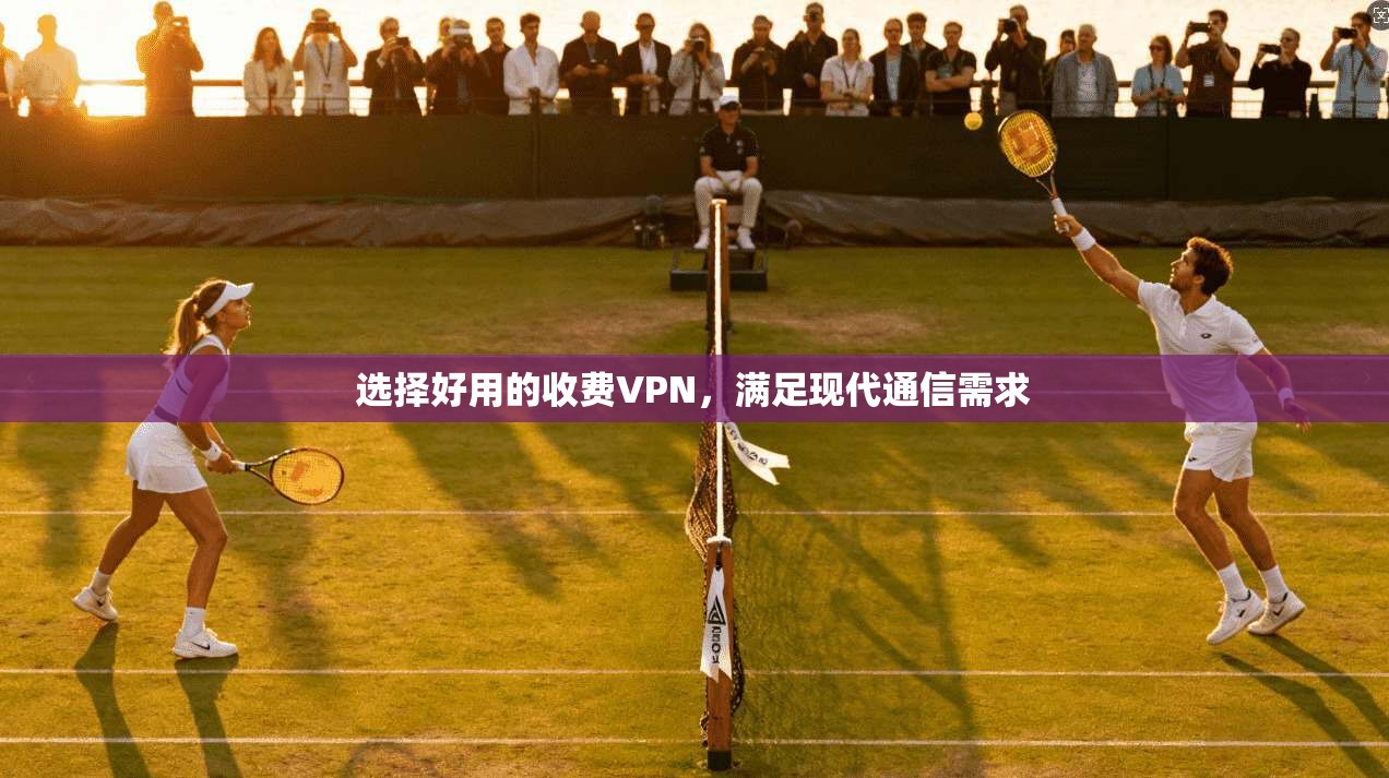 选择好用的收费VPN，满足现代通信需求