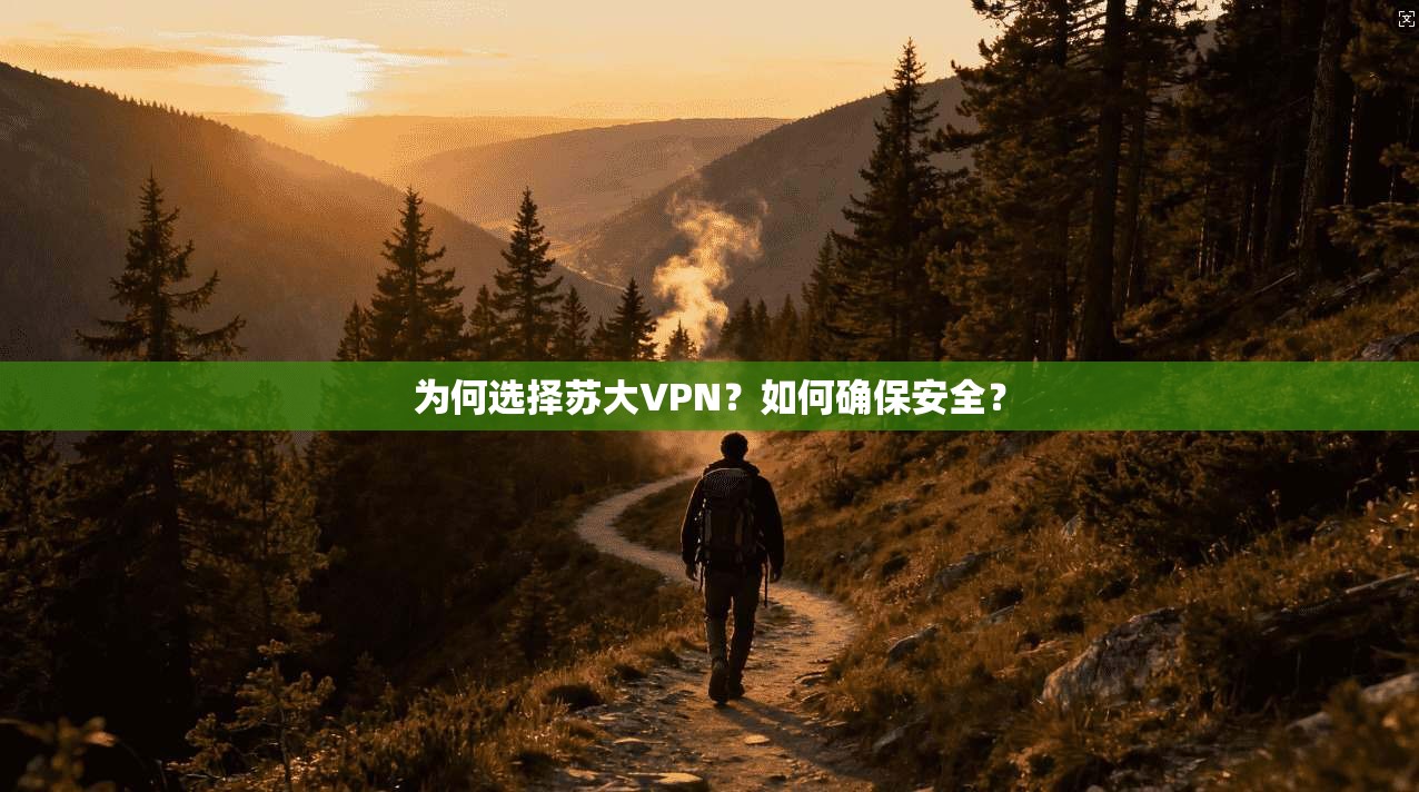 为何选择苏大VPN？如何确保安全？