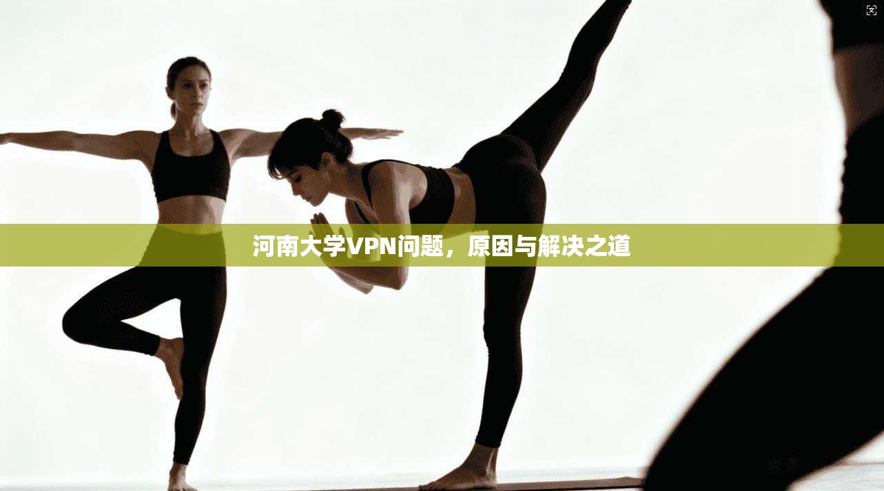 河南大学VPN问题，原因与解决之道