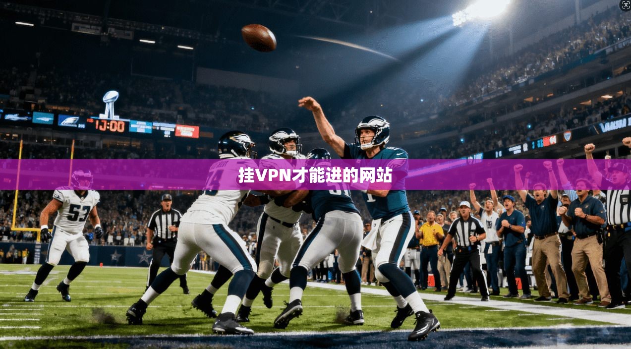 挂VPN才能进的网站