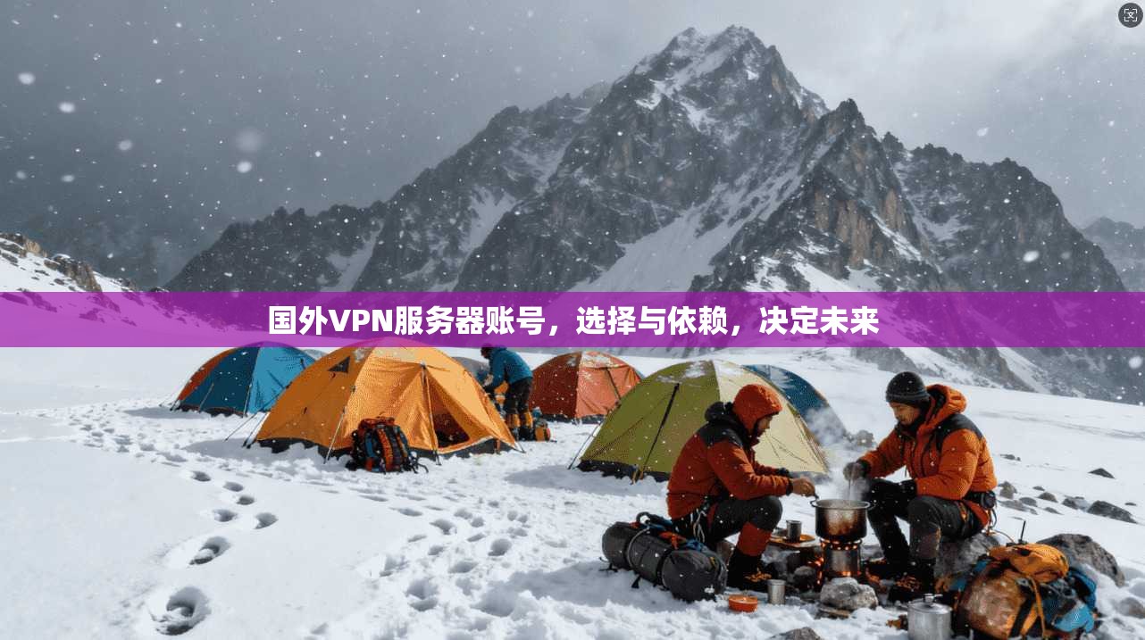 国外VPN服务器账号,选择与依赖,决定未来