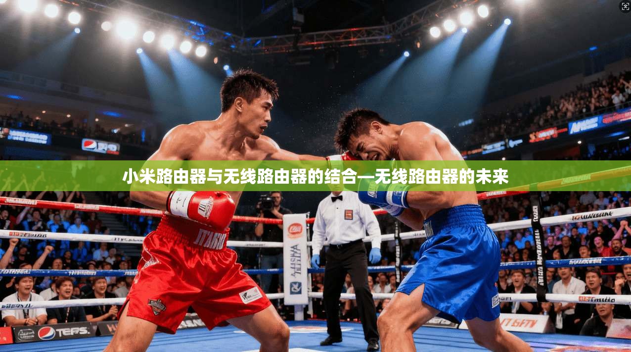 小米路由器与无线路由器的结合—无线路由器的未来