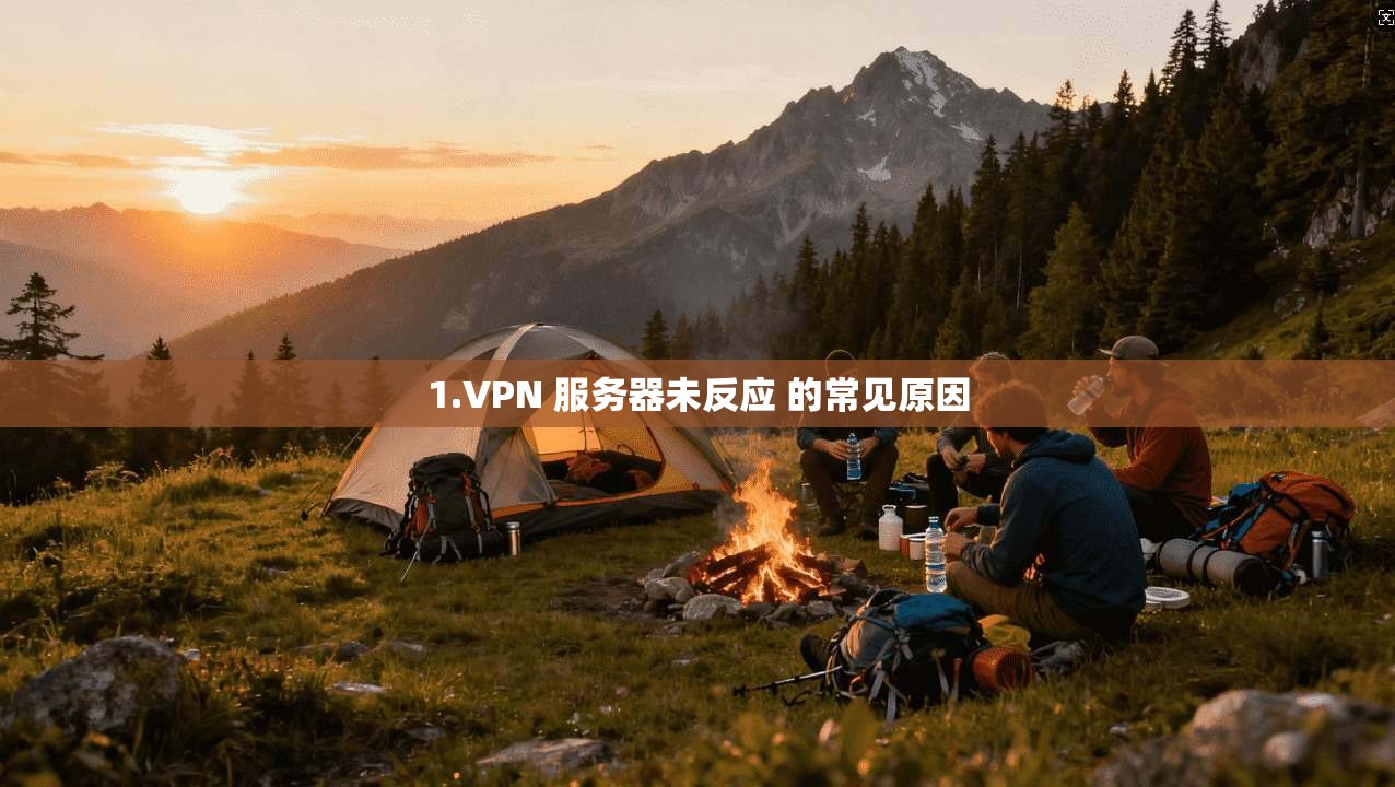 1.VPN 服务器未反应 的常见原因