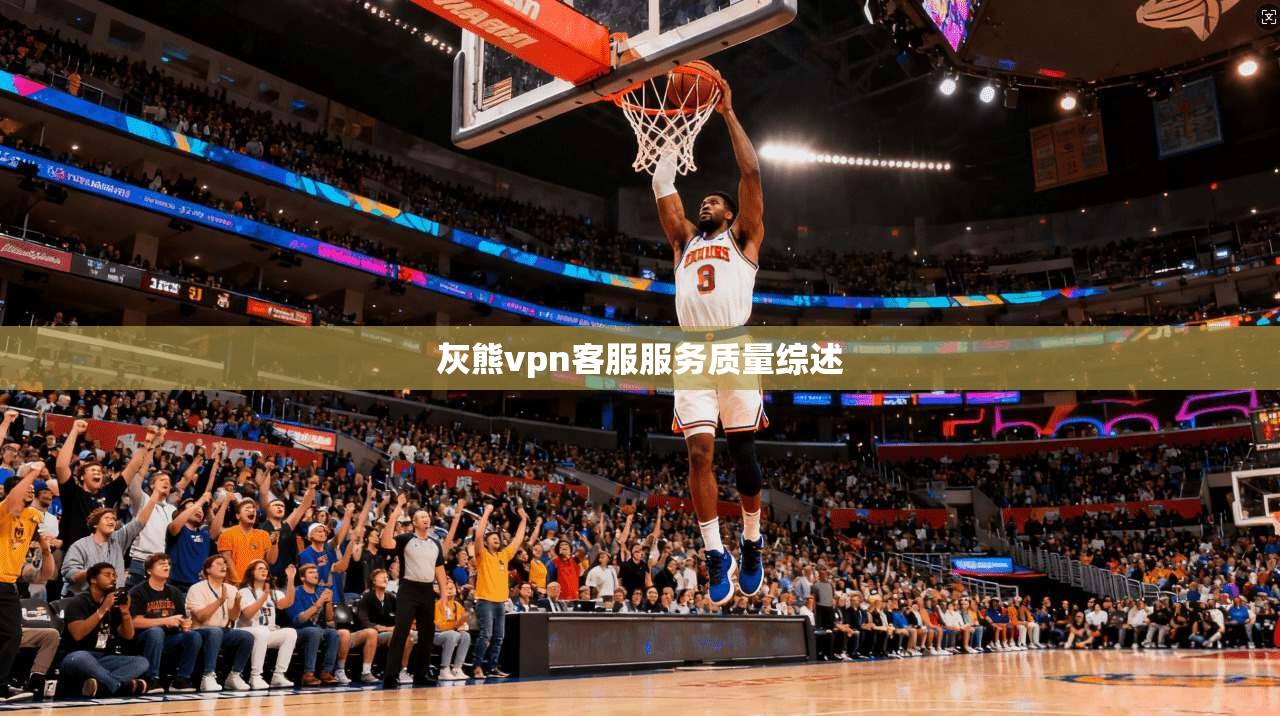 灰熊vpn客服服务质量综述