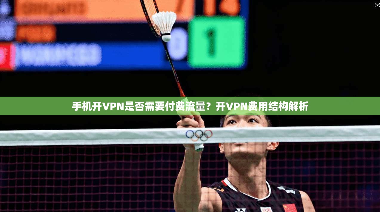 手机开VPN是否需要付费流量?开VPN费用结构解析