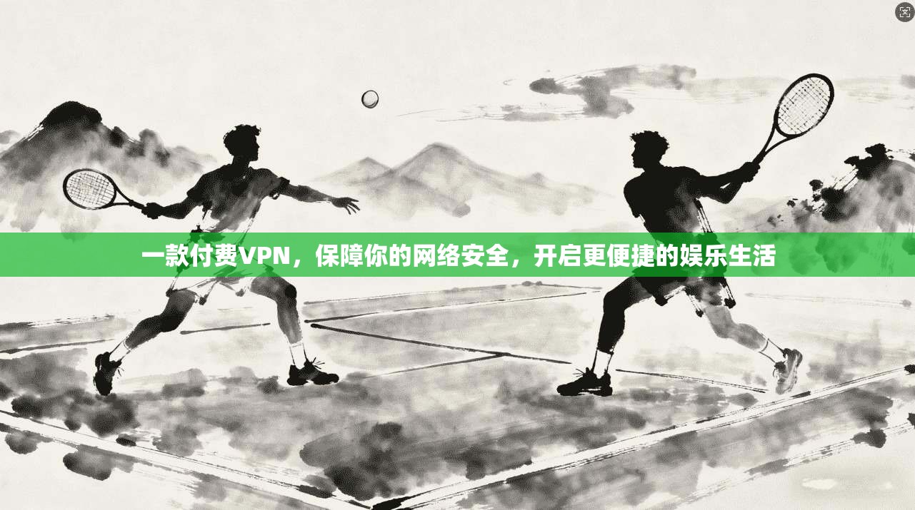 一款付费VPN,保障你的网络安全,开启更便捷的娱乐生活