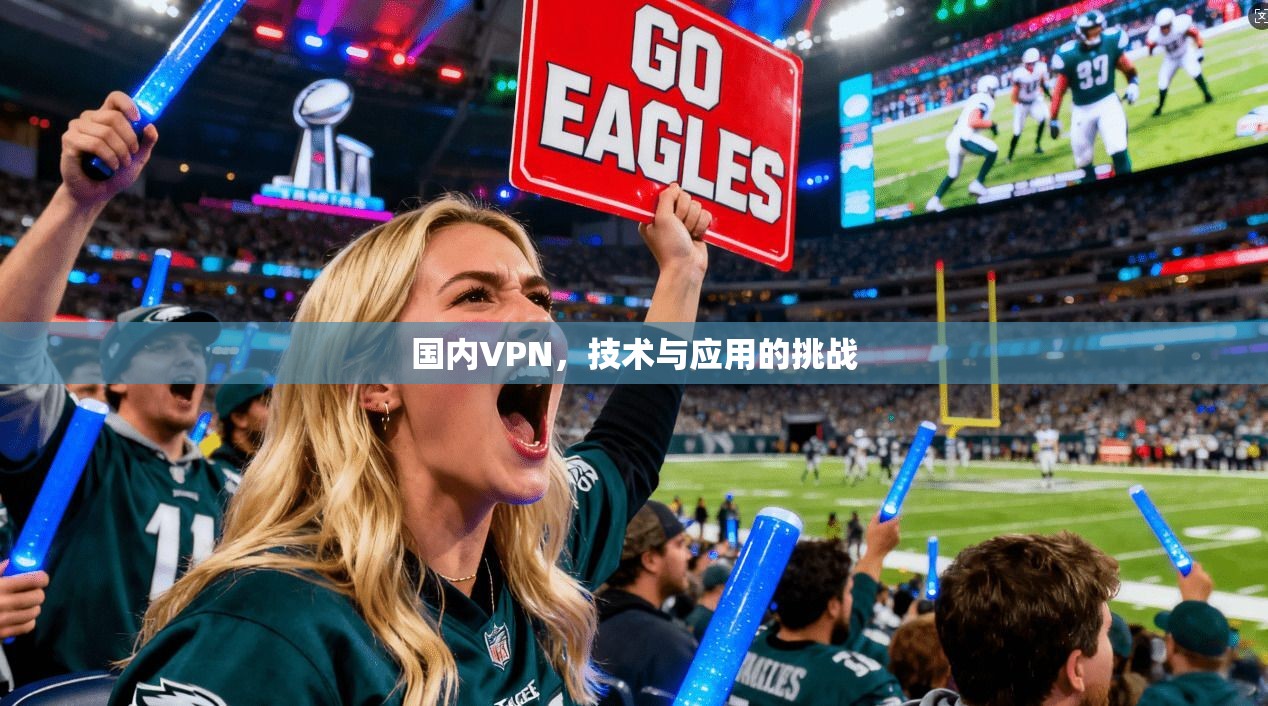 国内VPN,技术与应用的挑战