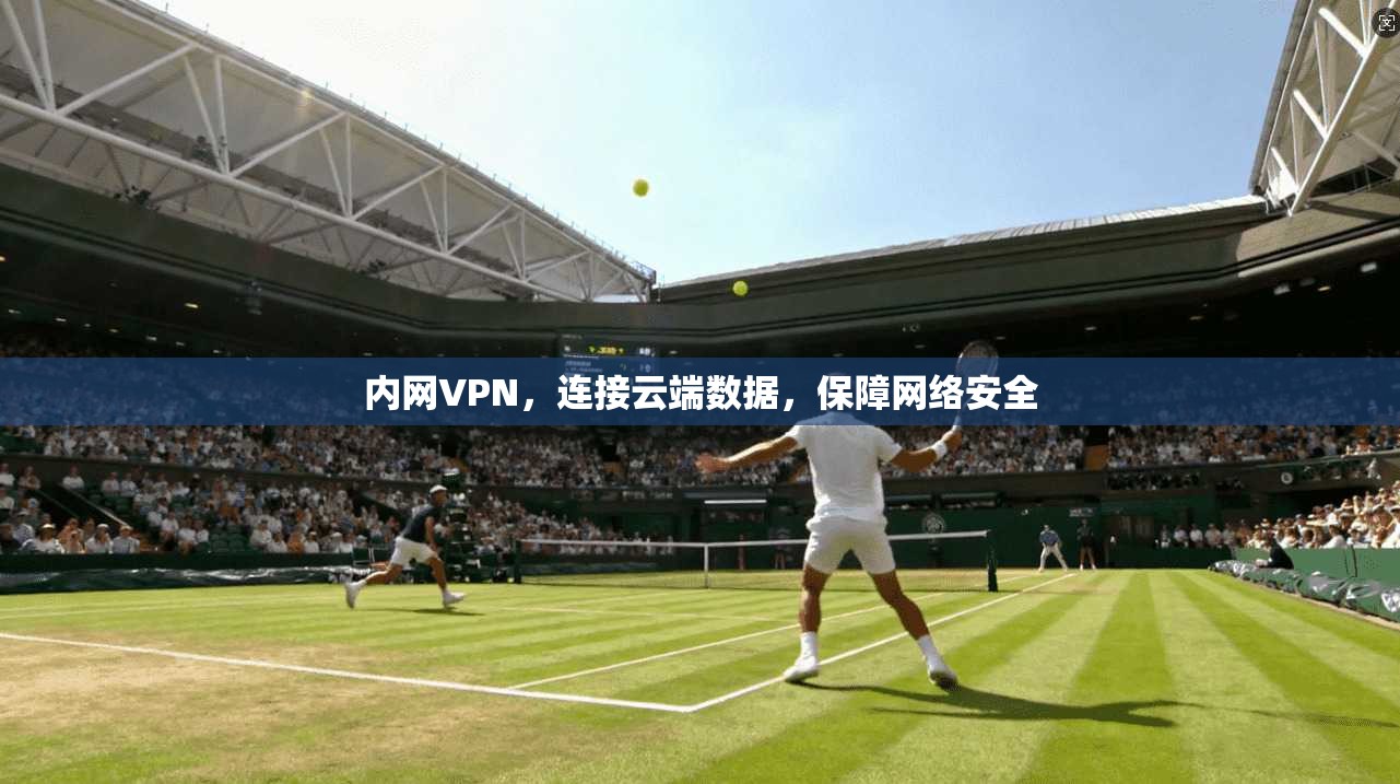 内网VPN，连接云端数据，保障网络安全