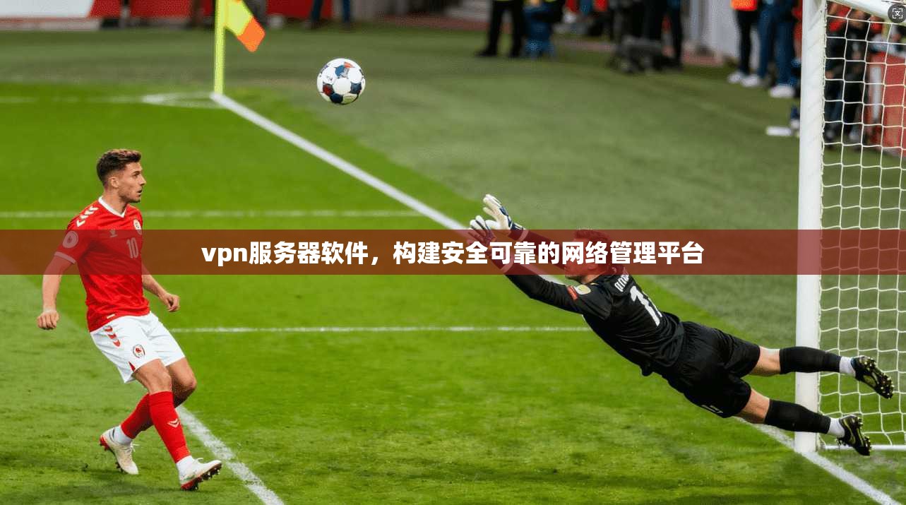 vpn服务器软件,构建安全可靠的网络管理平台