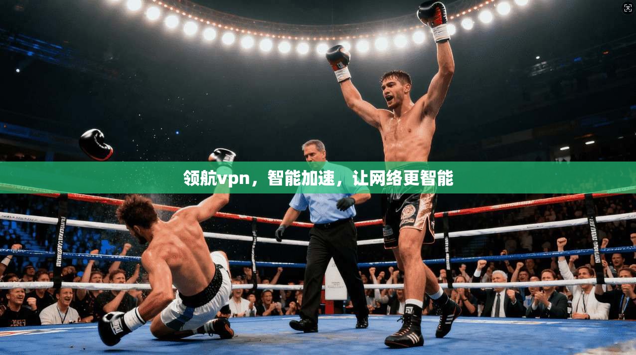领航vpn，智能加速，让网络更智能