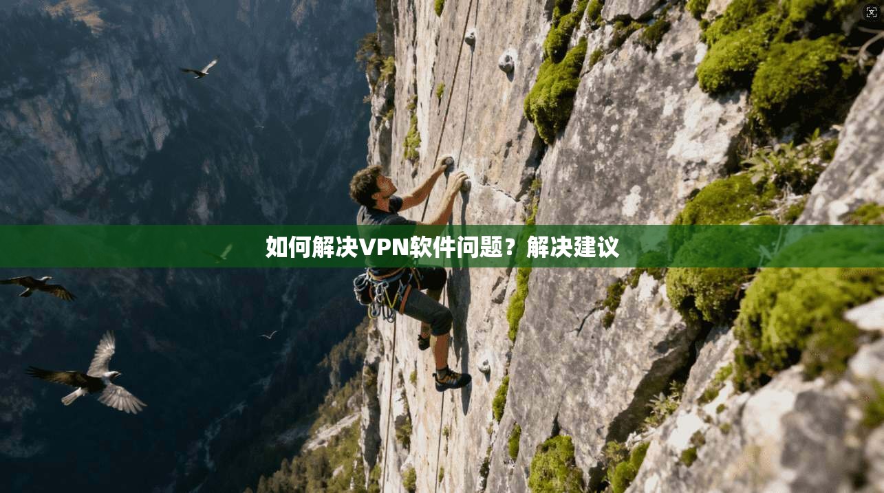如何解决VPN软件问题?解决建议
