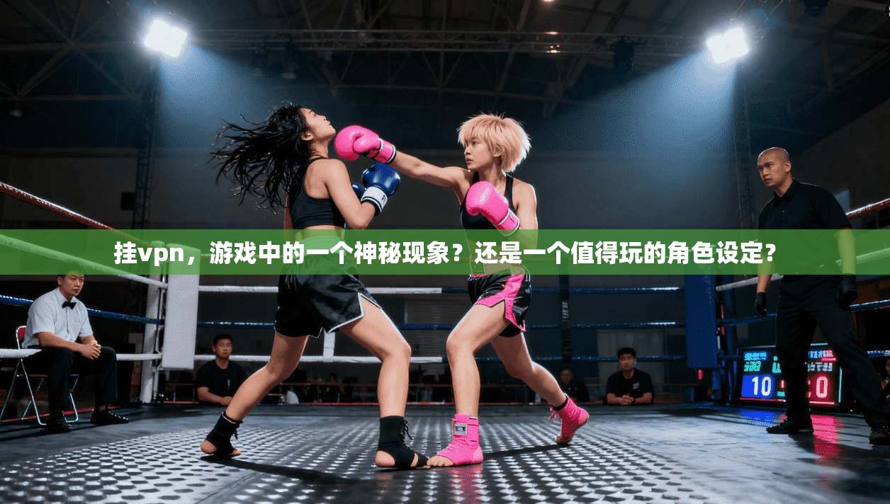 挂vpn，游戏中的一个神秘现象？还是一个值得玩的角色设定？
