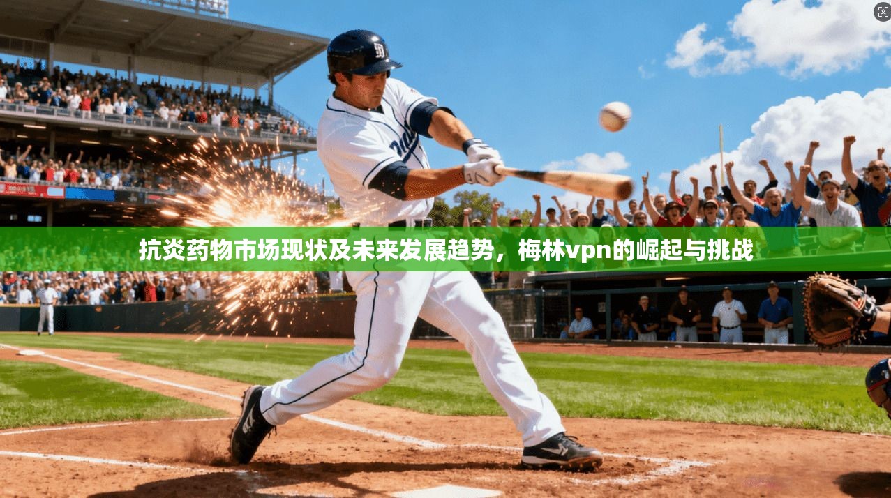 抗炎药物市场现状及未来发展趋势,梅林vpn的崛起与挑战