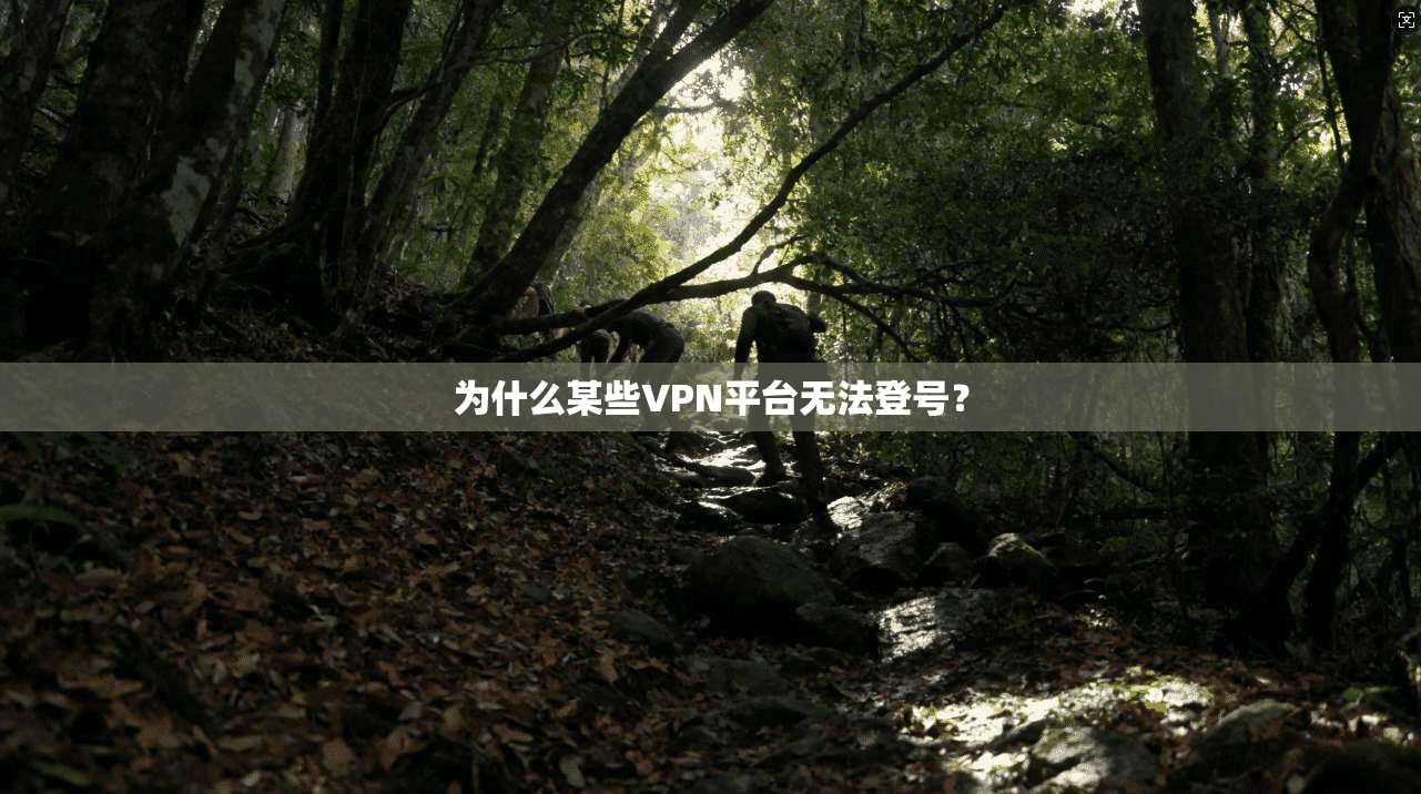 为什么某些VPN平台无法登号?