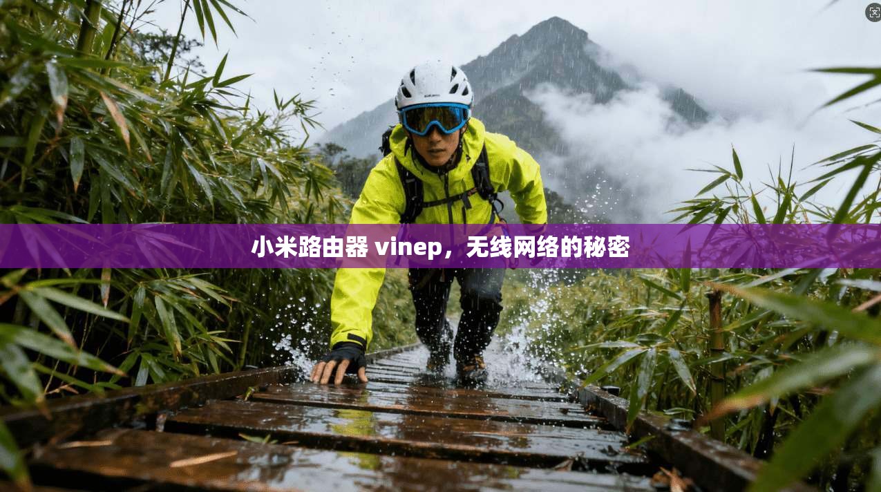 小米路由器 vinep,无线网络的秘密
