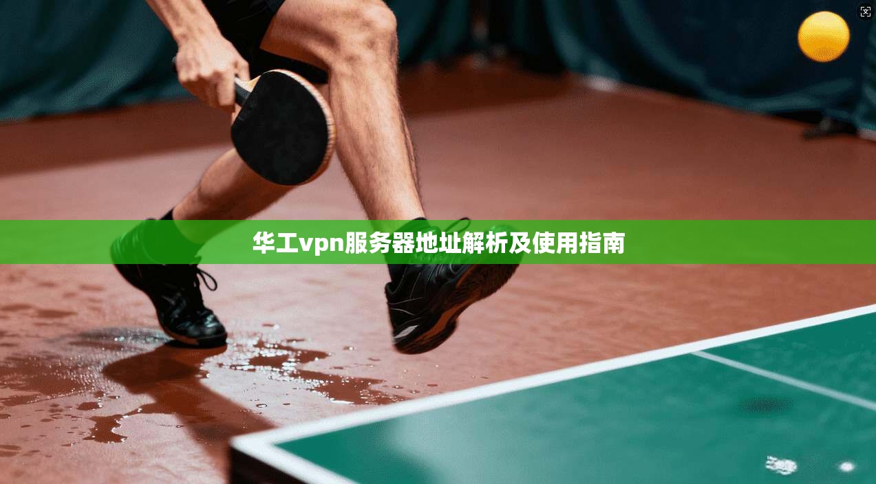 华工vpn服务器地址解析及使用指南