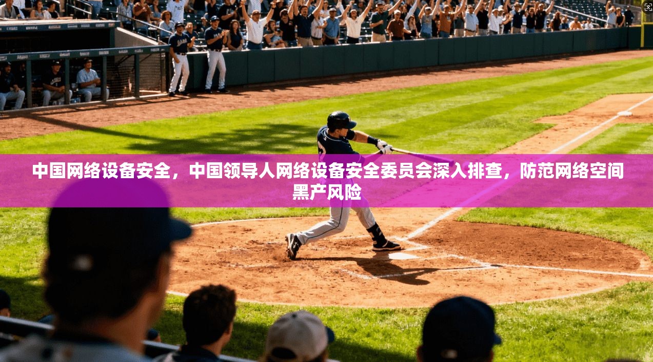 中国网络设备安全,中国领导人网络设备安全委员会深入排查,防范网络空间黑产风险